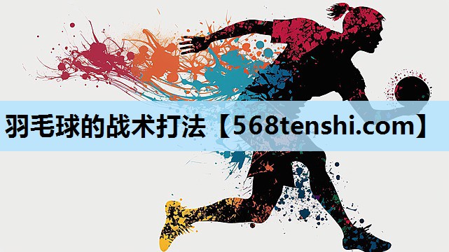 羽毛球的战术打法