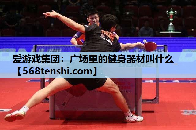 爱游戏集团：广场里的健身器材叫什么_