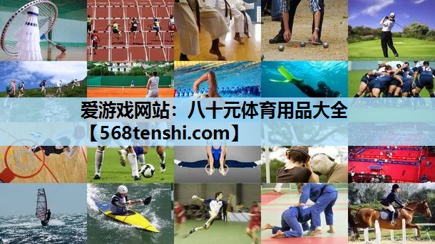 爱游戏网站：八十元体育用品大全