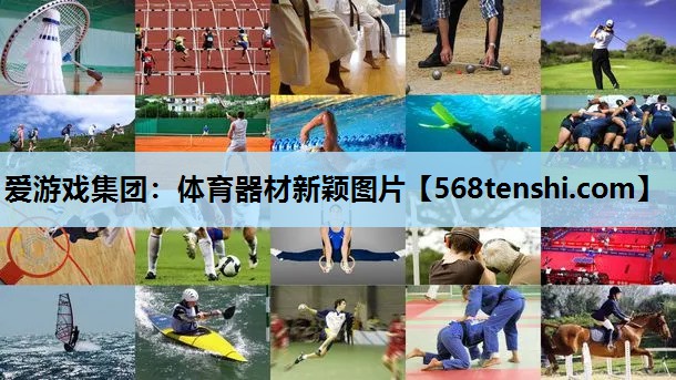 爱游戏集团：体育器材新颖图片