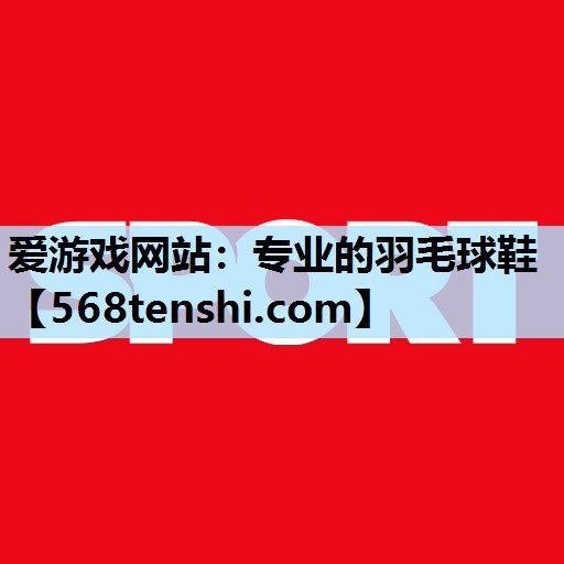 爱游戏网站：专业的羽毛球鞋