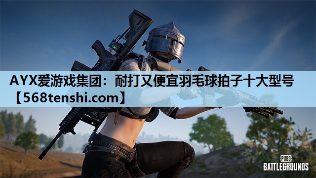 AYX爱游戏集团：耐打又便宜羽毛球拍子十大型号