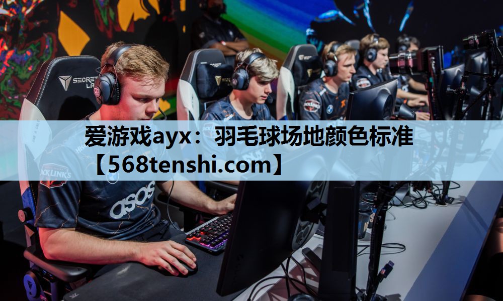 爱游戏ayx：羽毛球场地颜色标准