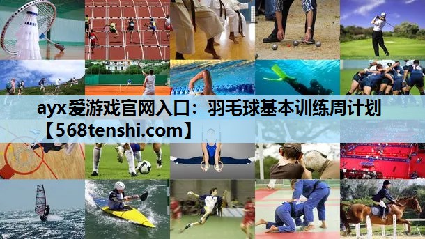 ayx爱游戏官网入口：羽毛球基本训练周计划