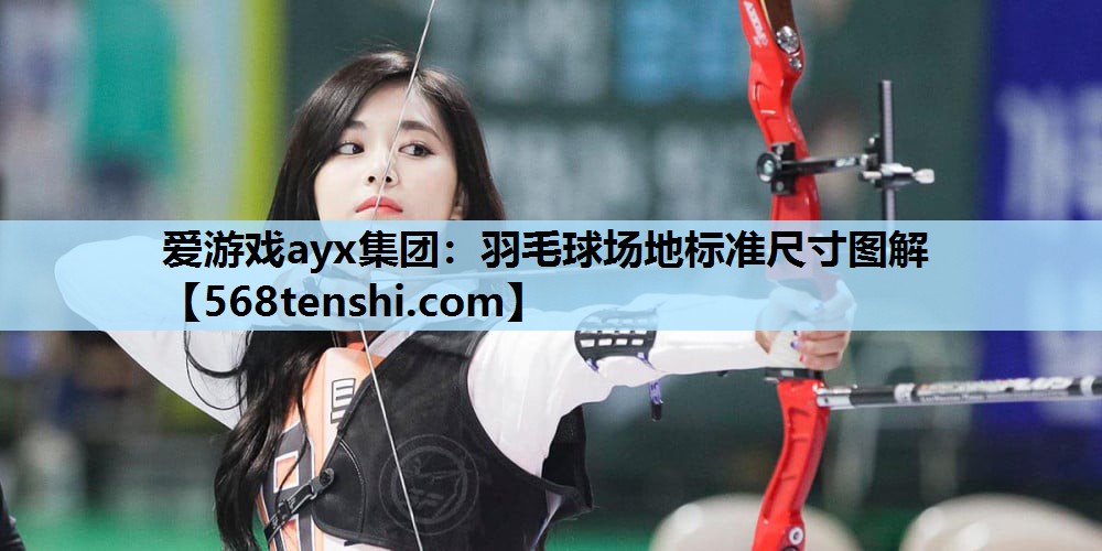 爱游戏ayx集团：羽毛球场地标准尺寸图解