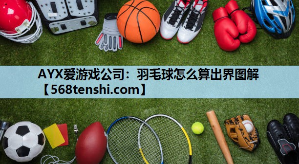 AYX爱游戏公司：羽毛球怎么算出界图解