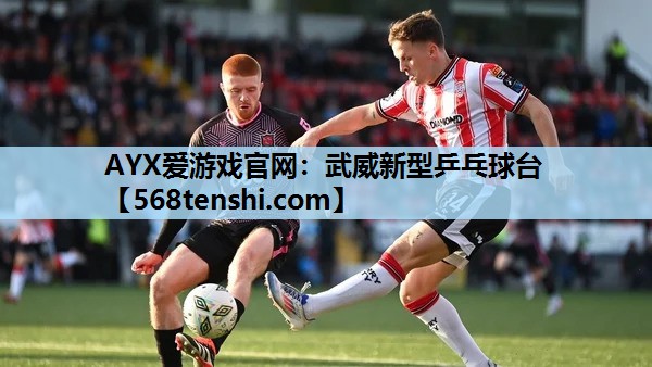 武威新型乒乓球台 武威新型乒乓球台