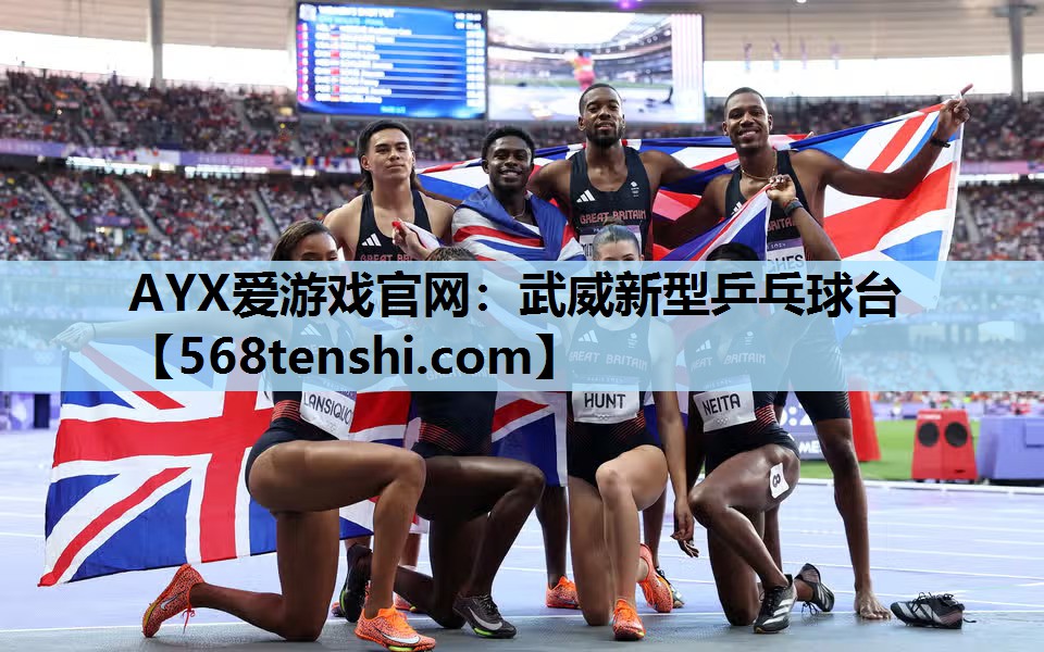 武威新型乒乓球台 武威新型乒乓球台
