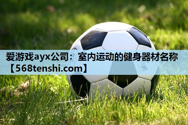 室内运动的健身器材名称 室内运动的健身器材名称
