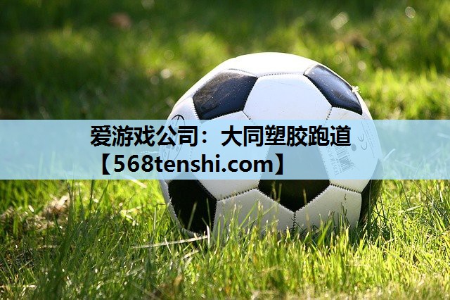 大同塑胶跑道 大同塑胶跑道