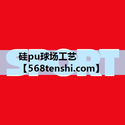 硅pu球场工艺 硅pu球场工艺