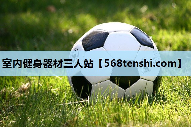 室内健身器材三人站 室内健身器材三人站