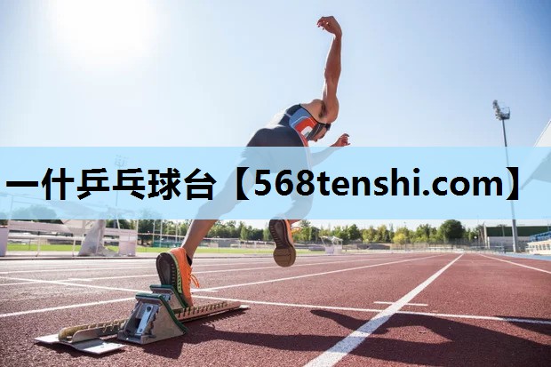 一什乒乓球台 一什乒乓球台