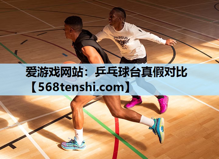 乒乓球台真假对比 乒乓球台真假对比