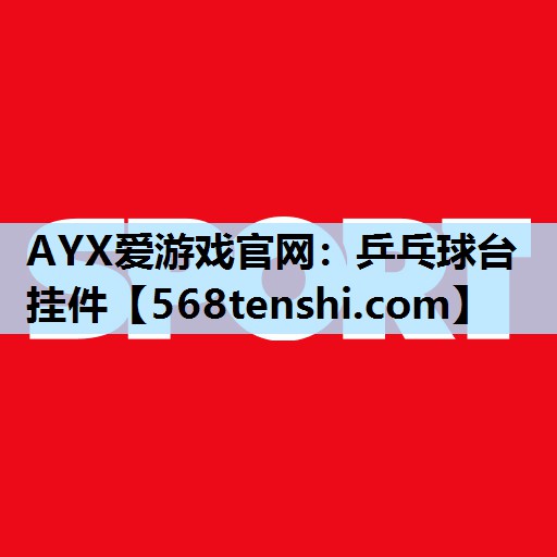 乒乓球台挂件 乒乓球台挂件