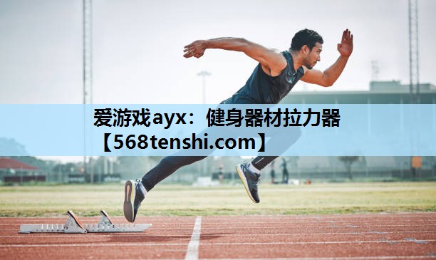 健身器材拉力器 健身器材拉力器