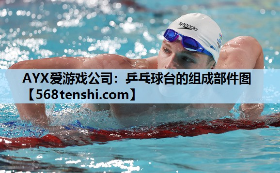 乒乓球台的组成部件图 乒乓球台的组成部件图