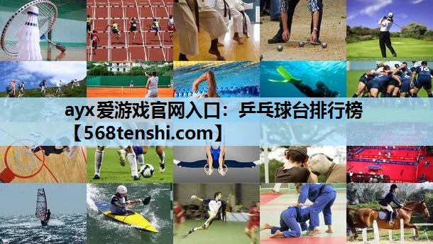 乒乓球台排行榜 乒乓球台排行榜