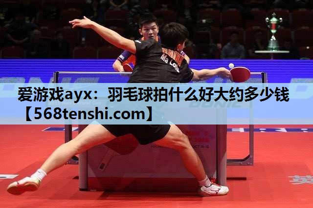 羽毛球拍什么好大约多少钱 羽毛球拍什么好大约多少钱