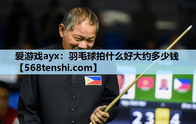 羽毛球拍什么好大约多少钱 羽毛球拍什么好大约多少钱