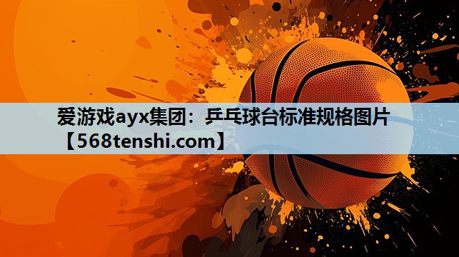 乒乓球台标准规格图片 乒乓球台标准规格图片