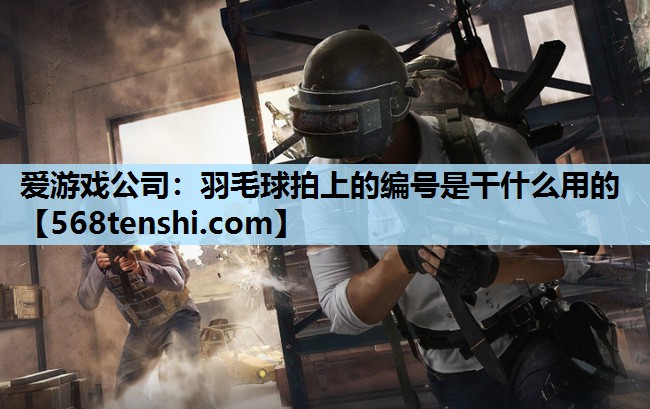 羽毛球拍上的编号是干什么用的 羽毛球拍上的编号是干什么用的